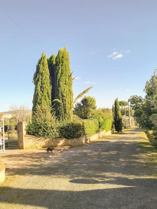 Villetta Rio, Large Private Garden 체치나 외부 사진